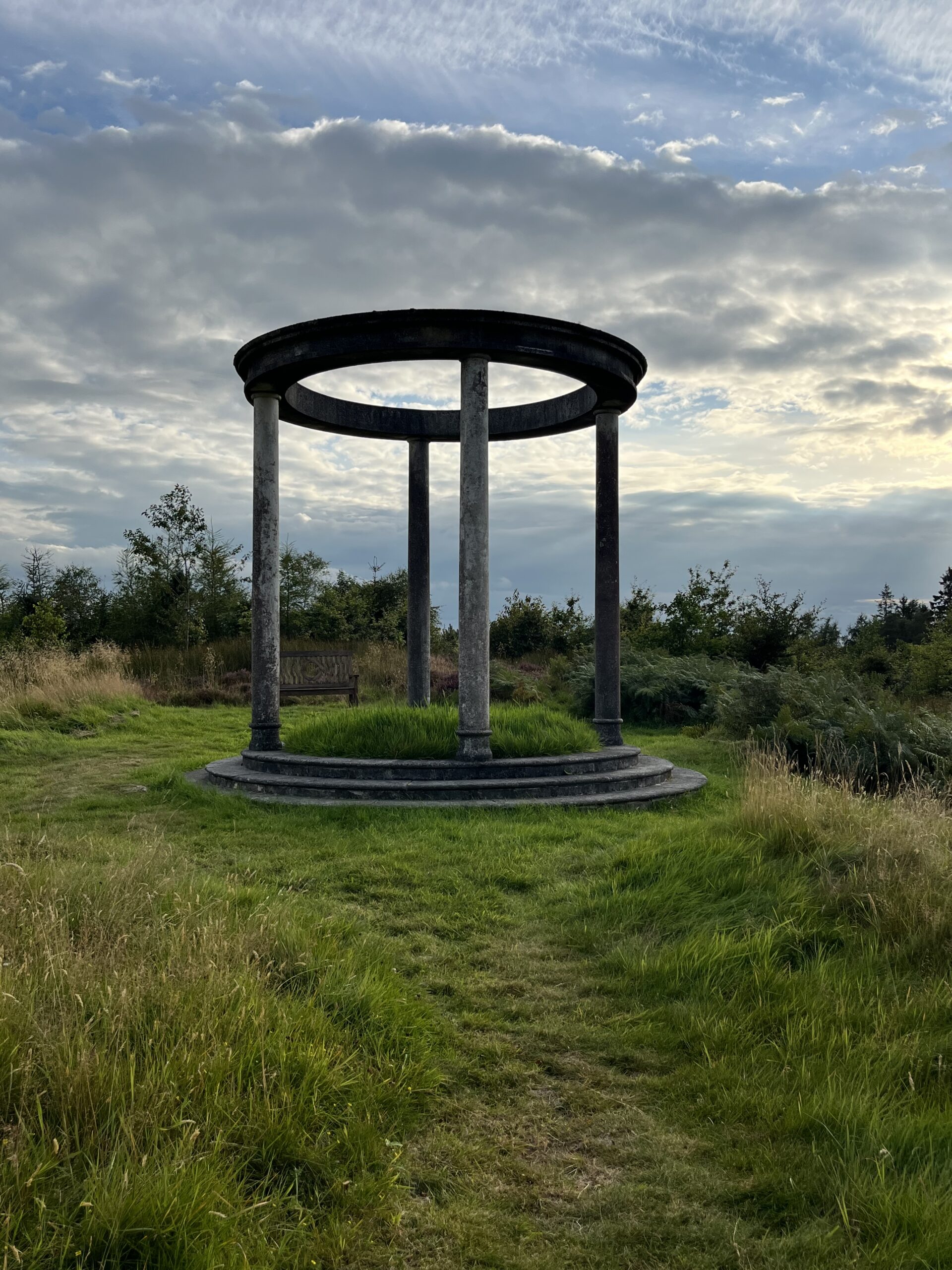 In Search of His Nest to Rest